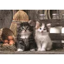 Animals Lovely Cat 1000-piece Puzzle Clementoni