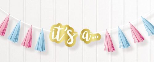 Boy or Girl The Big Reveal fringed garland 240 cm