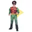 Batman Famulus Robin costume 3-4 years