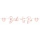 Hen Party Bride To Be paper banner 1.5 m