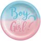 Boy or Girl The Big Reveal paper plate 8 pcs 23 cm