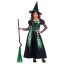 Witch Green Spider Costume 8-10 Years