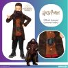 Harry Potter, Hagrid costume 4-6 years