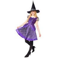 Witch Movie Purple Willow adult costume XS