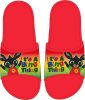 Bing Thing kids slippers 23-30