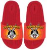 Looney Tunes 3D kids slippers 25-32