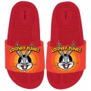 The Looney Tunes 3D children's slippers 25-32