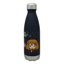 Harry Potter Hogwarts plastic flask with screw cap 650 ml