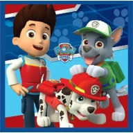 Paw Patrol Magic Hand Towel facial towel, towel 30x30cm