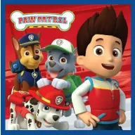 Paw Patrol Magic Hand Towel Face Towel, Towel 30x30cm