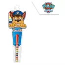 Paw Patrol mini notebook + pen set