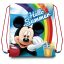 Disney Mickey  Summer sports bag gym bag 40 cm