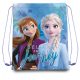 Disney Frozen sports bag gym bag 40 cm