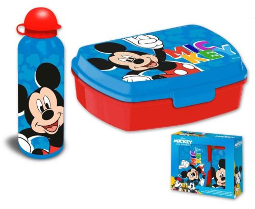 Disney Mickey Play Sandwich box + Aluminium bottle Set