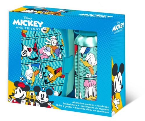 Disney Mickey Friends sandwich box + aluminium bottle set