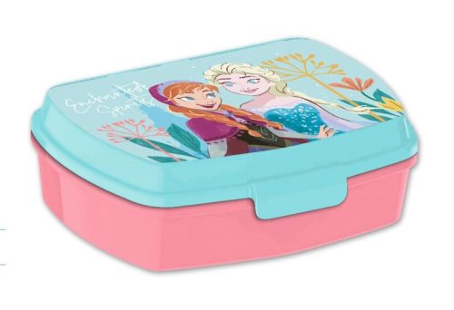 Disney Frozen Enchanted funny Plastic Sandwich Box