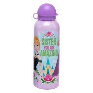   Disney Frozen Amazing Sister aluminum bottle with drinking cap 500 ml