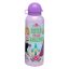 Disney Frozen Amazing Sister aluminum bottle with drinking cap 500 ml