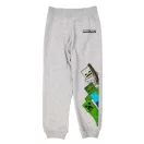 Minecraft kids long pants, jogging bottom 6-12 years