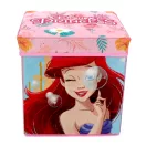Disney Princess toy storage 30x30x30 cm