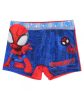 Spiderman Spidey children's swim shorts, ages 2-6