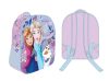 Disney Frozen Sisters of Snow 3D backpack, bag 30 cm