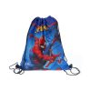 Spiderman Crime Fighter sports bag, gym bag 40 cm