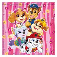 Paw Patrol Happy Team hand towel, face towel 30x30cm