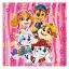 Paw Patrol Happy Team hand towel, face towel 30x30cm