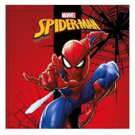 Spiderman City Swing towel 30x30cm