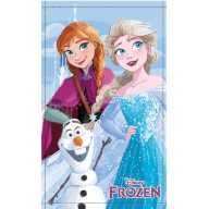 Disney Frozen Friends Forever hand towel, face towel 30x50cm