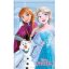 Disney Frozen Friends Forever hand towel, face towel 30x50cm