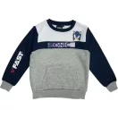 Paw Patrol Grey Sonic the Hedgehog kids tracksuit, jogging set 2 - 8 years / 92 - 128 cm
