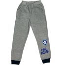 Paw Patrol Grey Boys children's jogging suit set 2 - 8 years / 92 - 128 cm