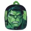 Avengers Hulk 3D backpack, bag 30 cm