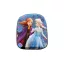 Disney Frozen Enchanted Sisters 3D backpack, 30 cm bag