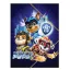 Paw Patrol Power Up A/4 elastic folder