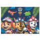 Paw Patrol Dino Rescue A/4 Document Holder
