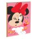 Disney Minnie Wink B/5 lined notebook, 40 Pages