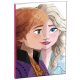Disney Frozen B/5 ruled notebook 40 pages