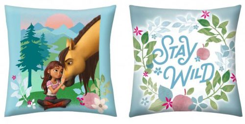 Spirit pillow, decorative cushion 40*40 cm