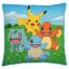 Pokémon pillow, decorative pillow 40*40 cm