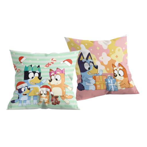 Bluey Winter Christmas decorative pillow 40x40 cm