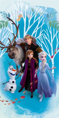 Disney Frozen Icebound Beach towel 70*140 cm