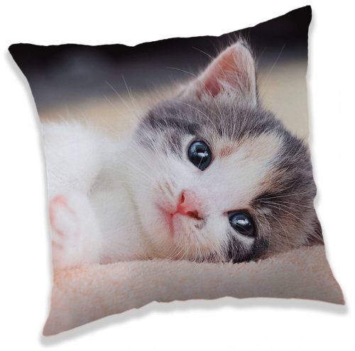 Cat Kitten Cushion, Decorative cushion 40*40 cm