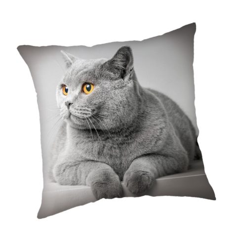 Cat Grey pillowcase 45x45 cm