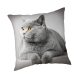 Cat Grey pillowcase 45x45 cm
