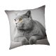 Cat Grey pillowcase 45x45 cm