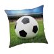 Football Viewers pillowcase 45x45 cm