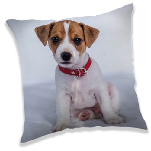 Dog pillow, decorative cushion 40*40 cm